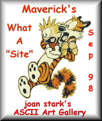 Maverick's What a Site Award